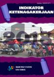 Indikator Ketenagakerjaan Kota Ternate 2018