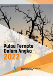 Kecamatan Pulau Ternate Dalam Angka 2022